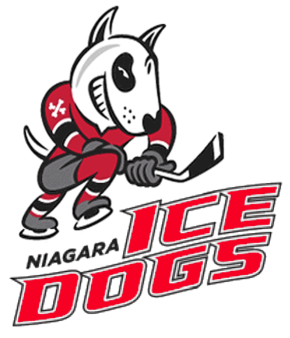 Niagara IceDogs iron ons